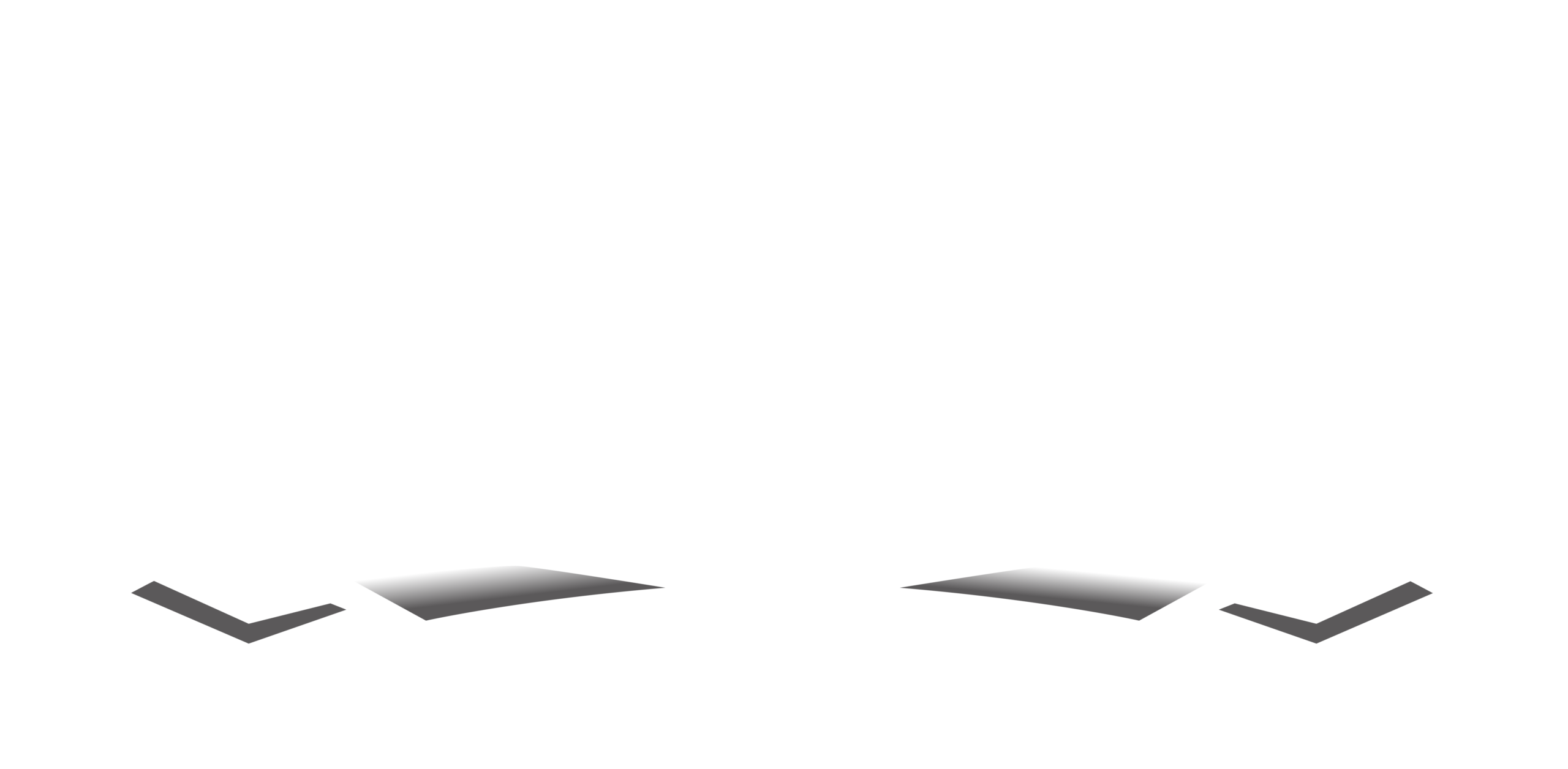 Platinum Concrete Works